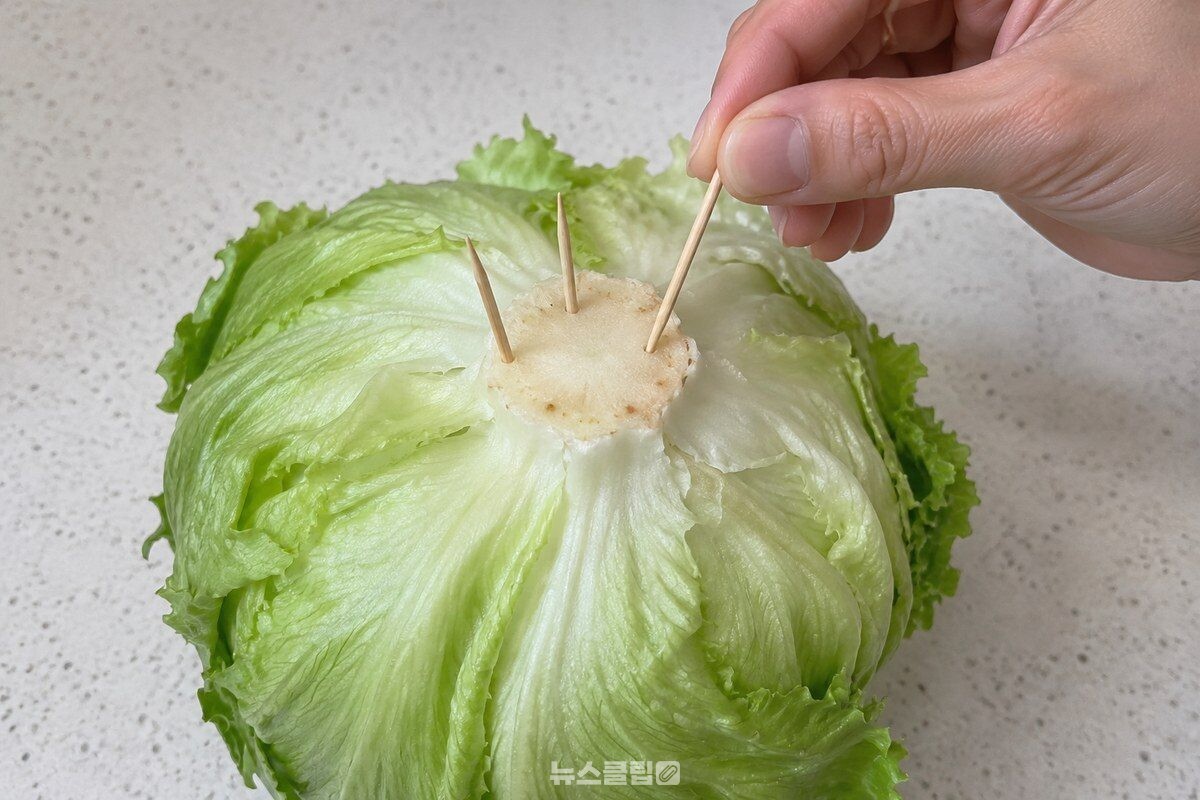 먹기 전 양상추 심에서 이쑤시개를 하나씩 빼는 모습이다. / 기사 이해를 돕기 위한 생성형 이미지