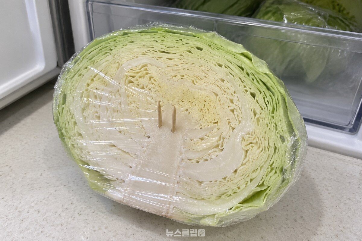 반으로 자른 양배추의 심에 이쑤시개를 꽂고 자른 면을 랩으로 감싼 모습이다. / 기사 이해를 돕기 위한 생성형 이미지