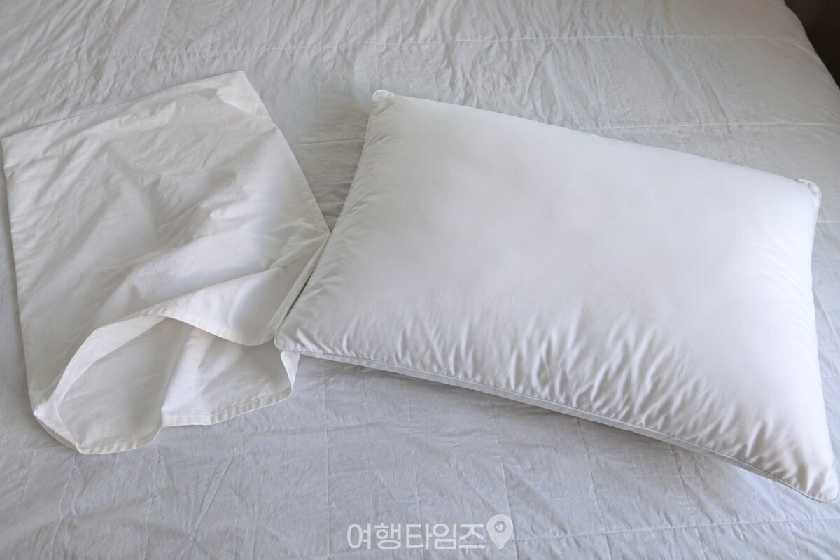 흰 베갯잇과 속통을 나란히 두어 겉모습과 속통을 구분해 놓은 모습이다. / 기사 이해를 돕기 위한 생성형 이미지