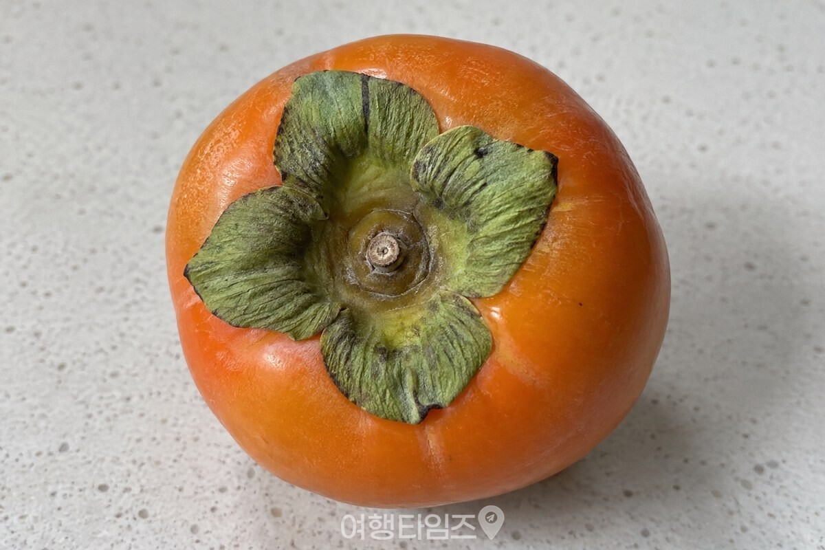 단감 꼭지와 그 둘레를 가까이에서 보여 주는 모습 / 기사 이해를 돕기 위한 생성형 이미지