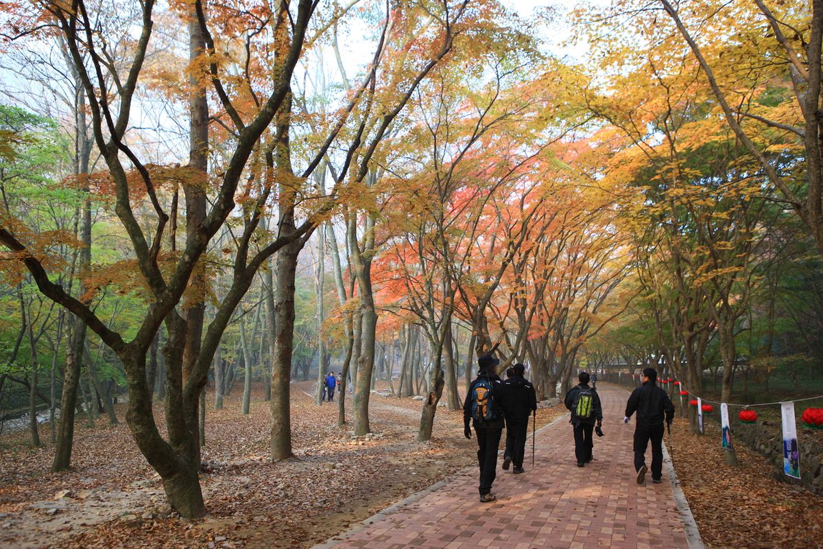 내장사 / 한국관광공사-김지호