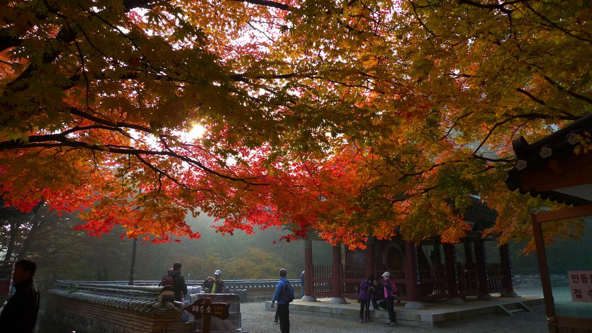 내장사 / 한국관광공사-김지호