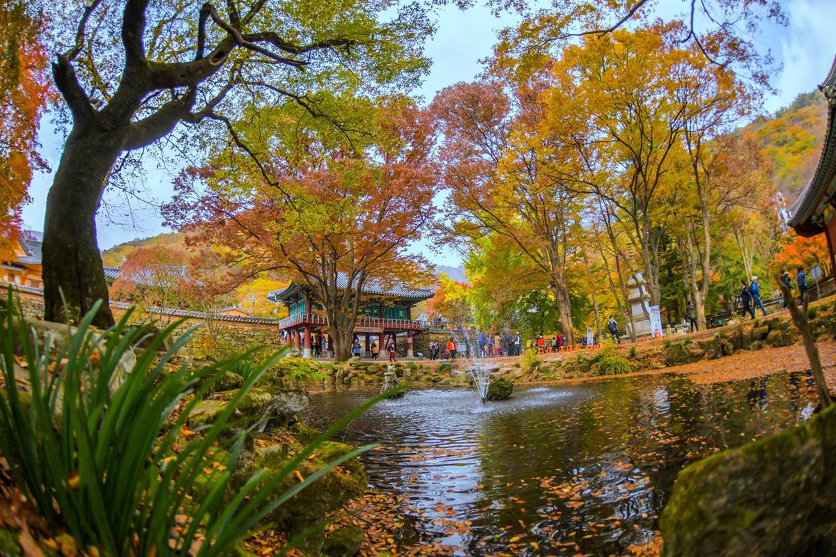 내장사 / 한국관광공사-두드림