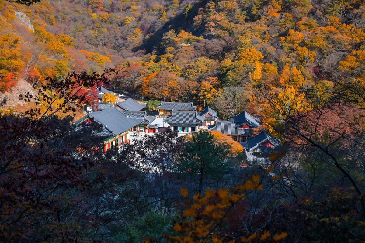 내장사 / 한국관광공사-두드림