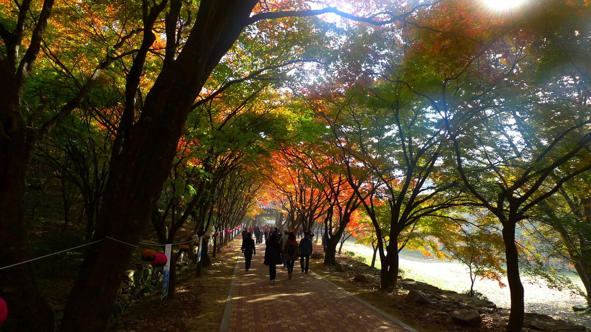 내장사 / 한국관광공사-김지호