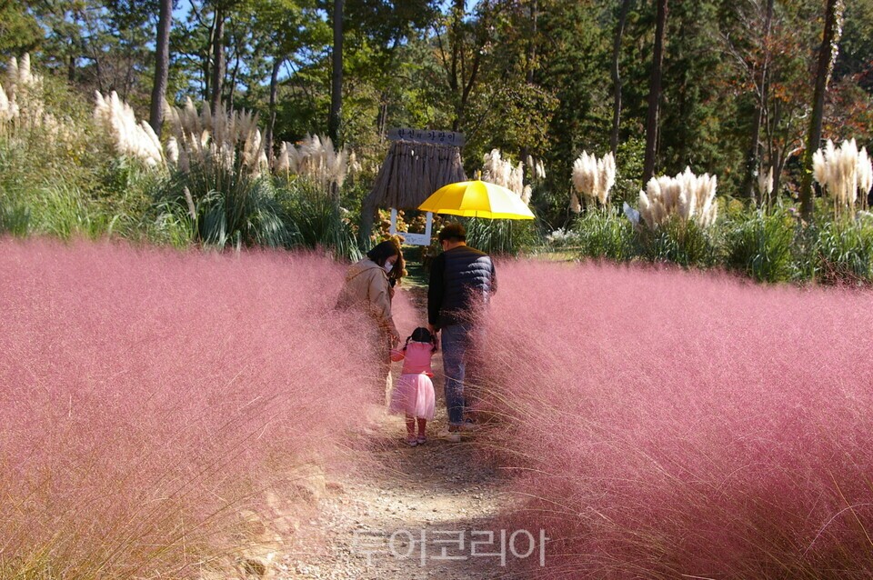 포레스트 수목원  ⓒ투어코리아