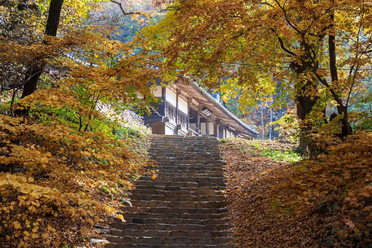 안동 봉정사 / 한국관광공사-김지호