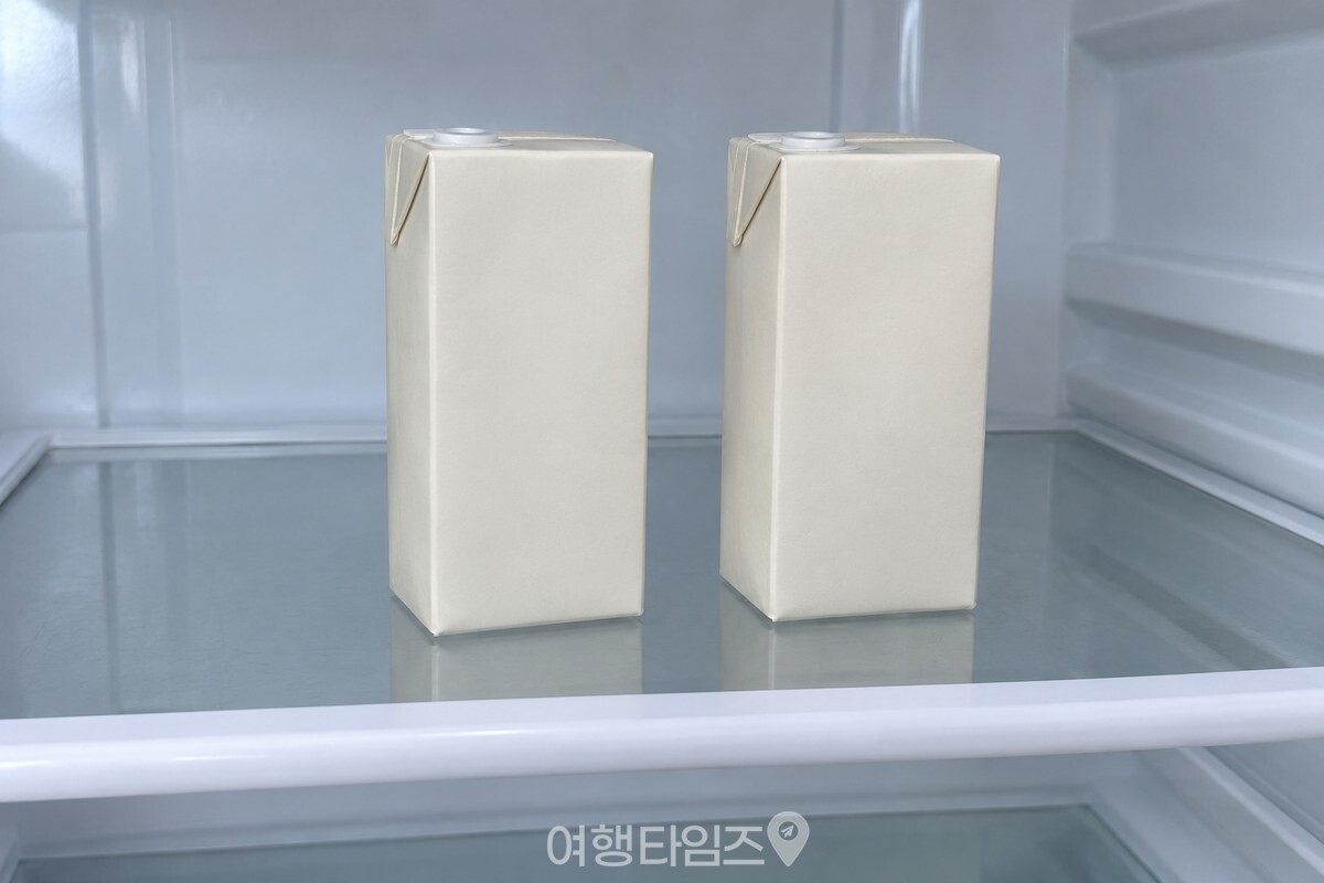 냉장고 선반에 세워 둔 작은 두유 팩 두 개. / 기사 이해를 돕기 위한 생성형 이미지