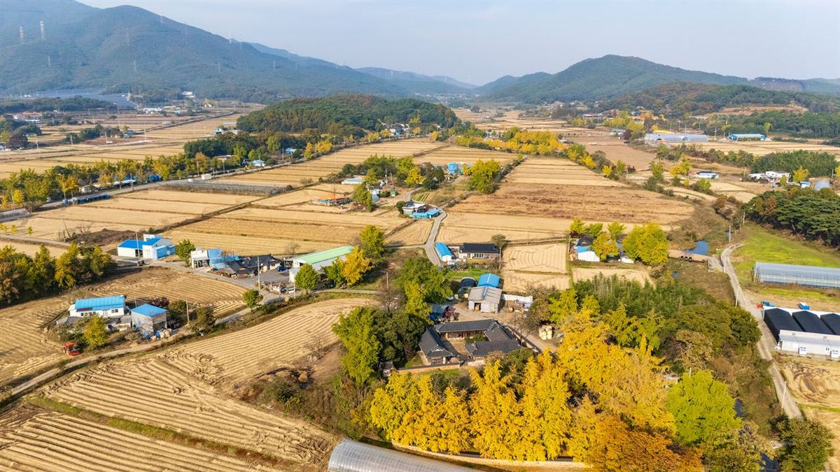 청라 은행마을 / 한국관광공사-김석태