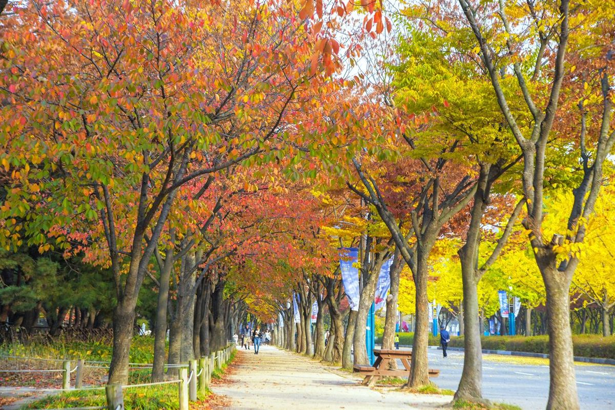 인천대공원 / 한국관광공사-두드림
