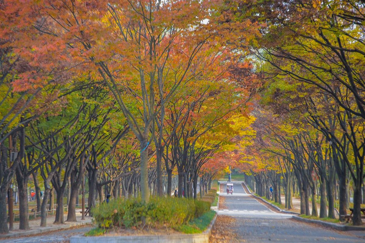 인천대공원 / 한국관광공사-두드림