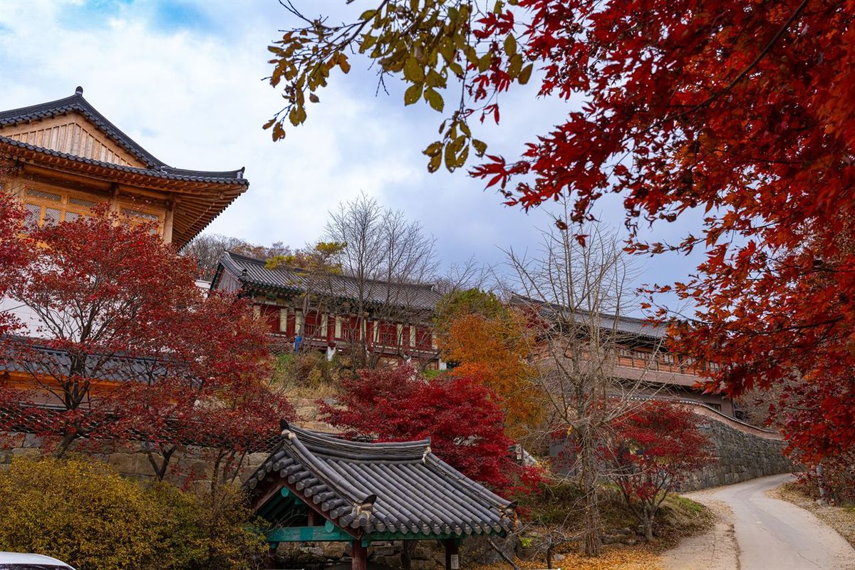 무주 안국사 / 한국관광공사-조영권