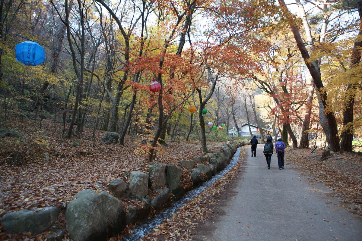 양평 용문사 / 한국관광공사-김지호