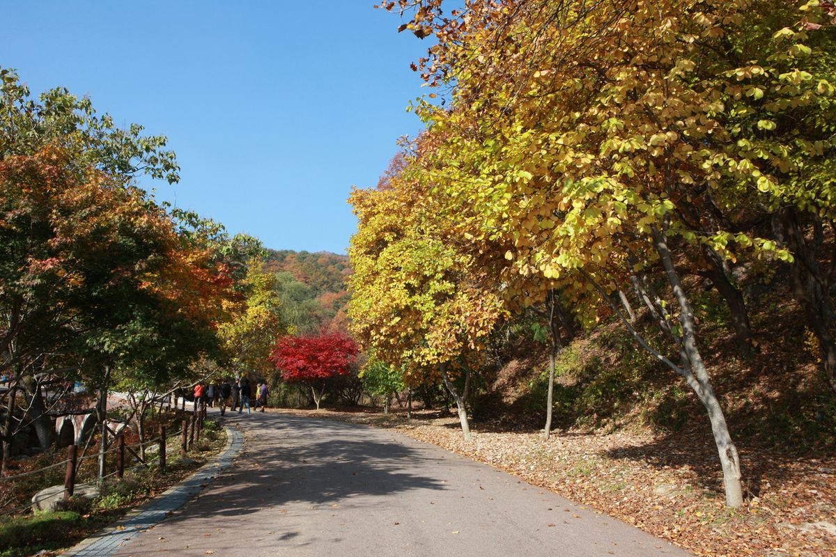 양평 용문사 / 한국관광공사-김지호