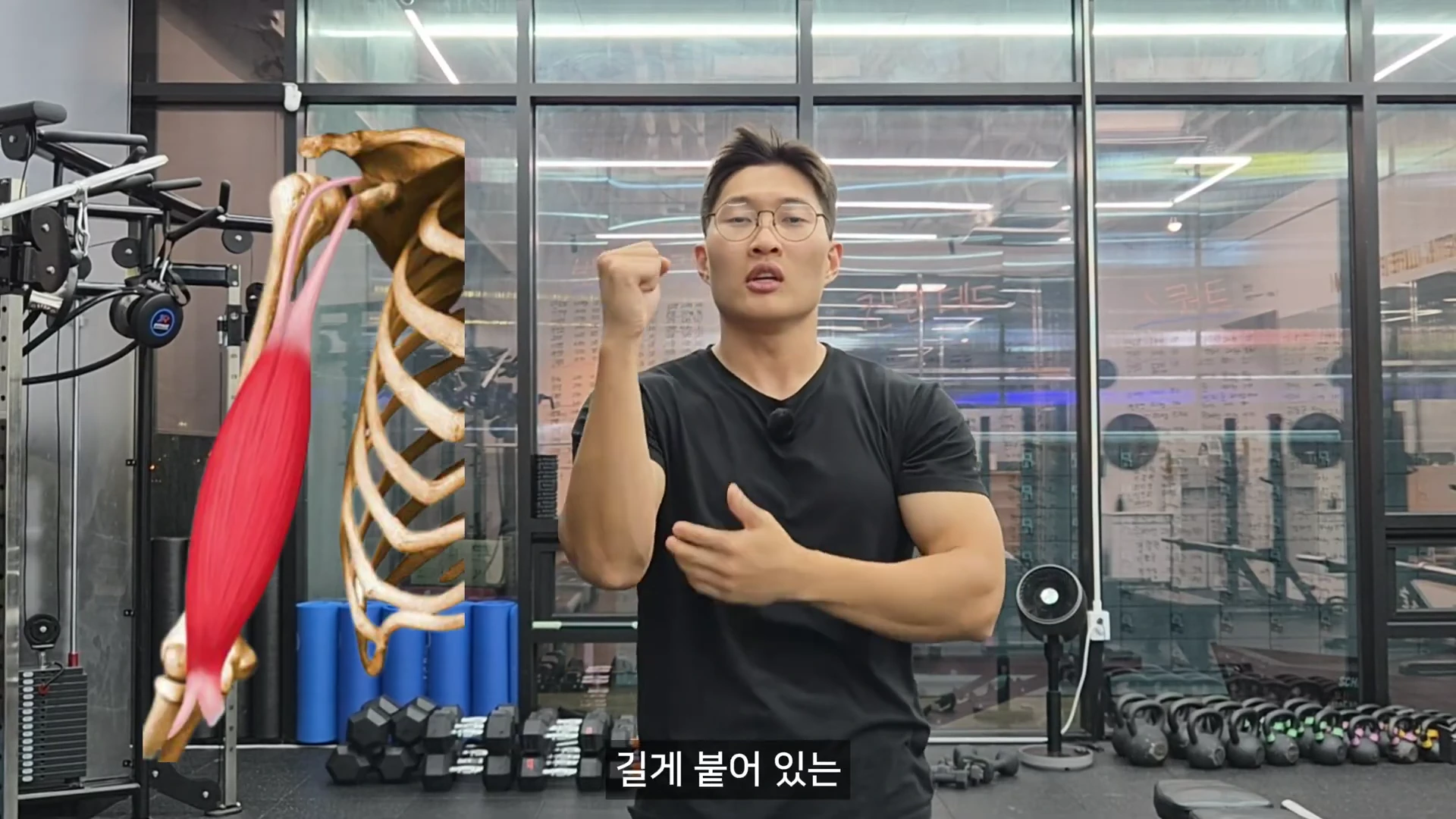 운동 센터를 배경으로 검은색 반팔 티셔츠를 입은 남성이 서 있고, 왼쪽에는 어깨와 팔의 해부학적 근육 구조를 보여주는 그래픽이 합성되어 있다.