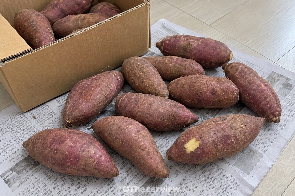 신문지 위에 놓인 고구마 상자와 단단한 고구마를 가까이에서 담은 모습 / 기사 이해를 돕기 위한 생성형 이미지