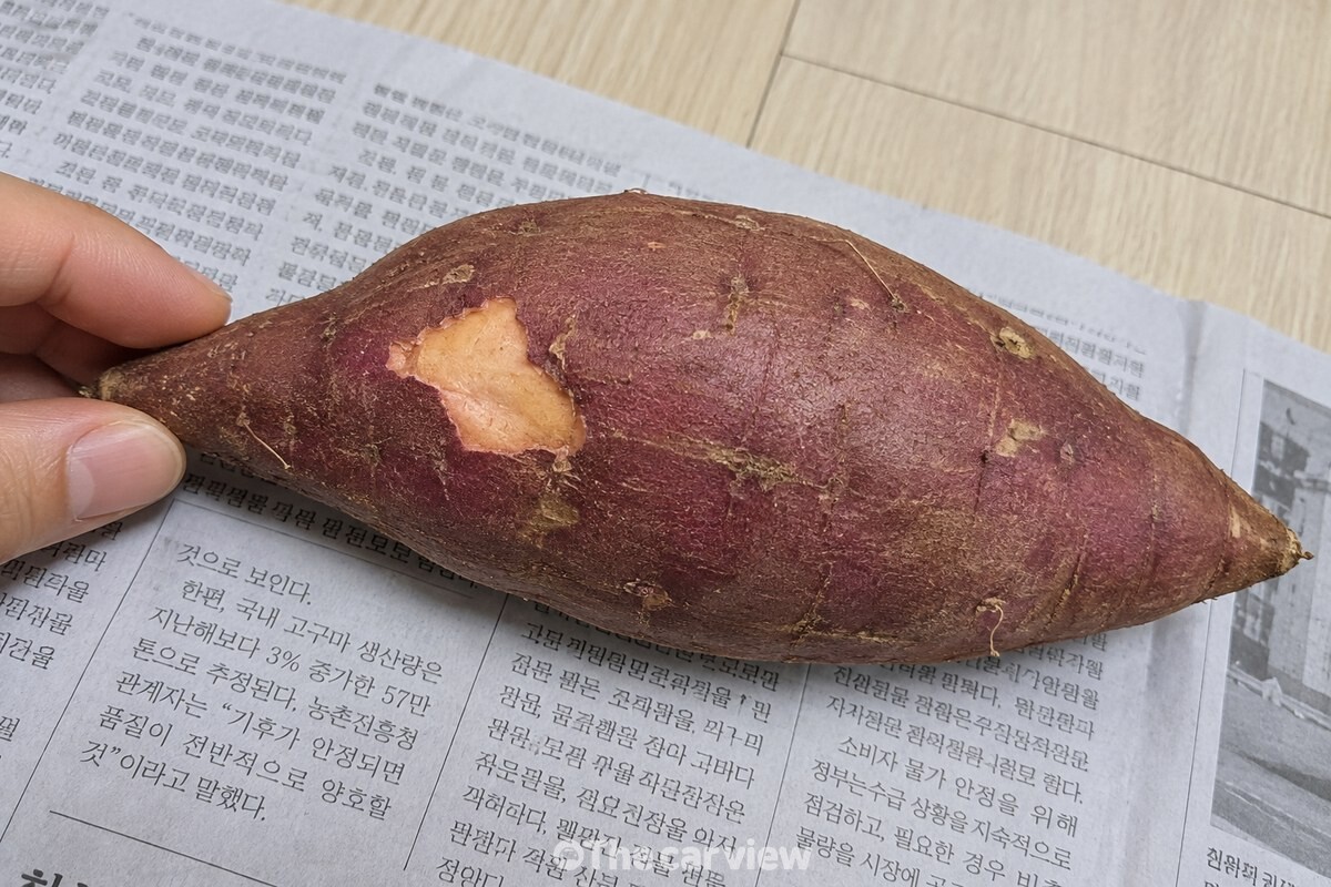 껍질이 조금 벗겨진 단단한 고구마의 상처 난 부분을 가까이에서 보여주는 모습 / 기사 이해를 돕기 위한 생성형 이미지
