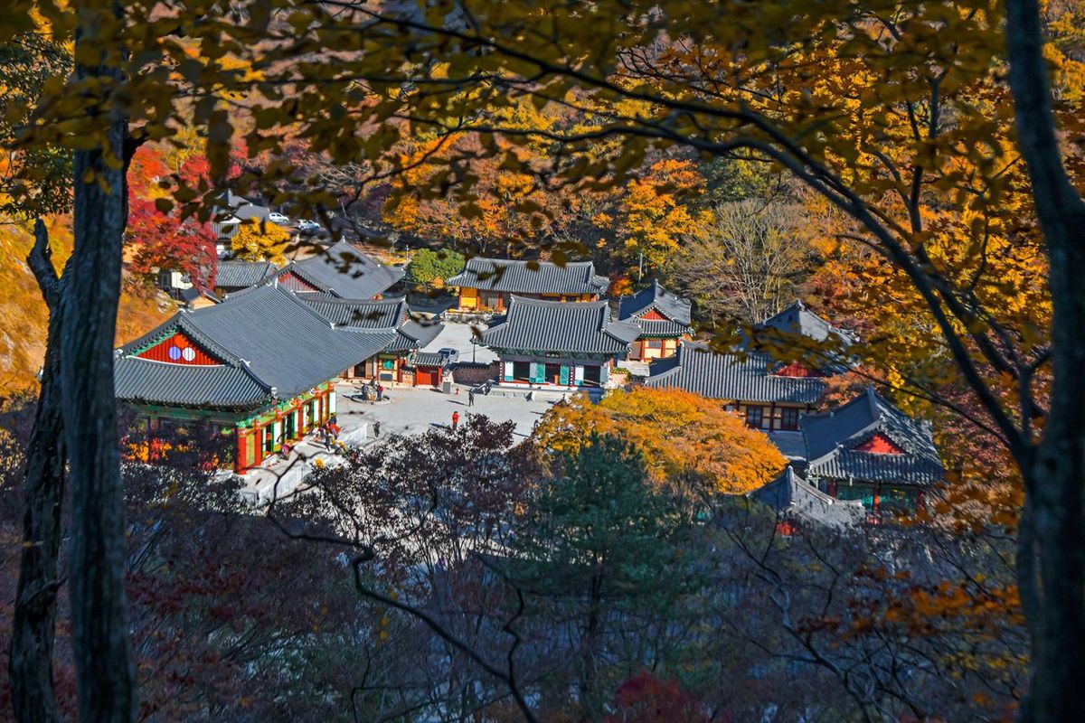 내장사 / 한국관광공사-두드림