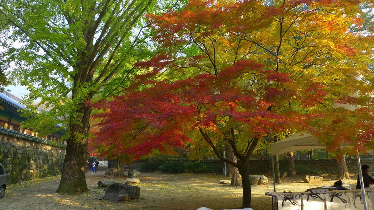 내장사 / 한국관광공사-김지호