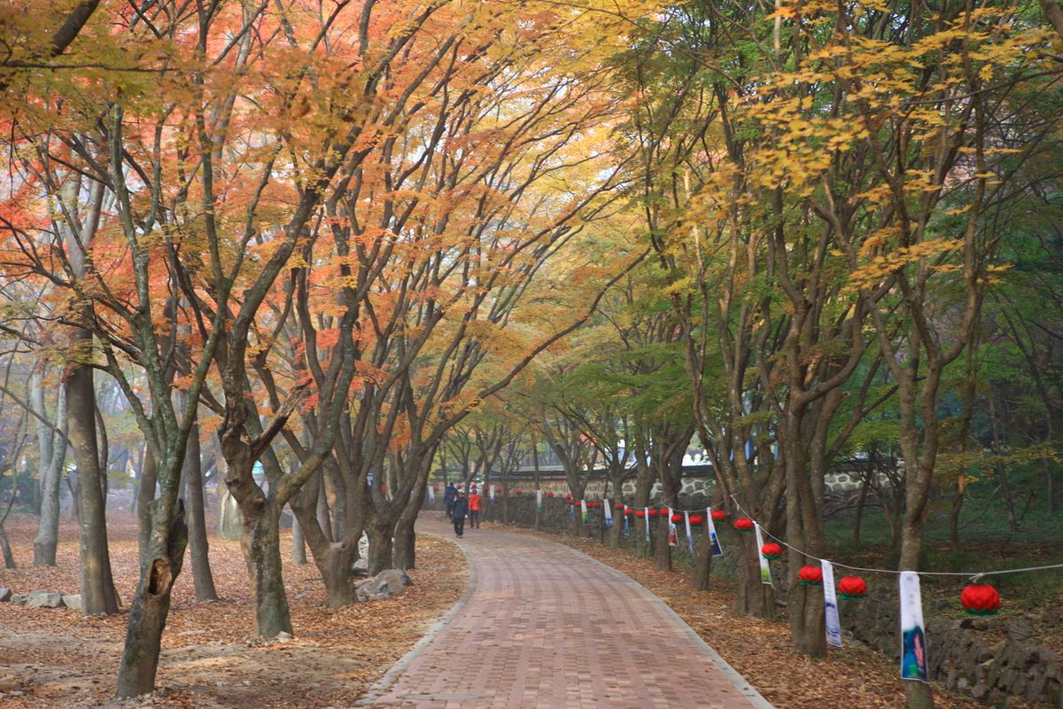 내장사 / 한국관광공사-김지호