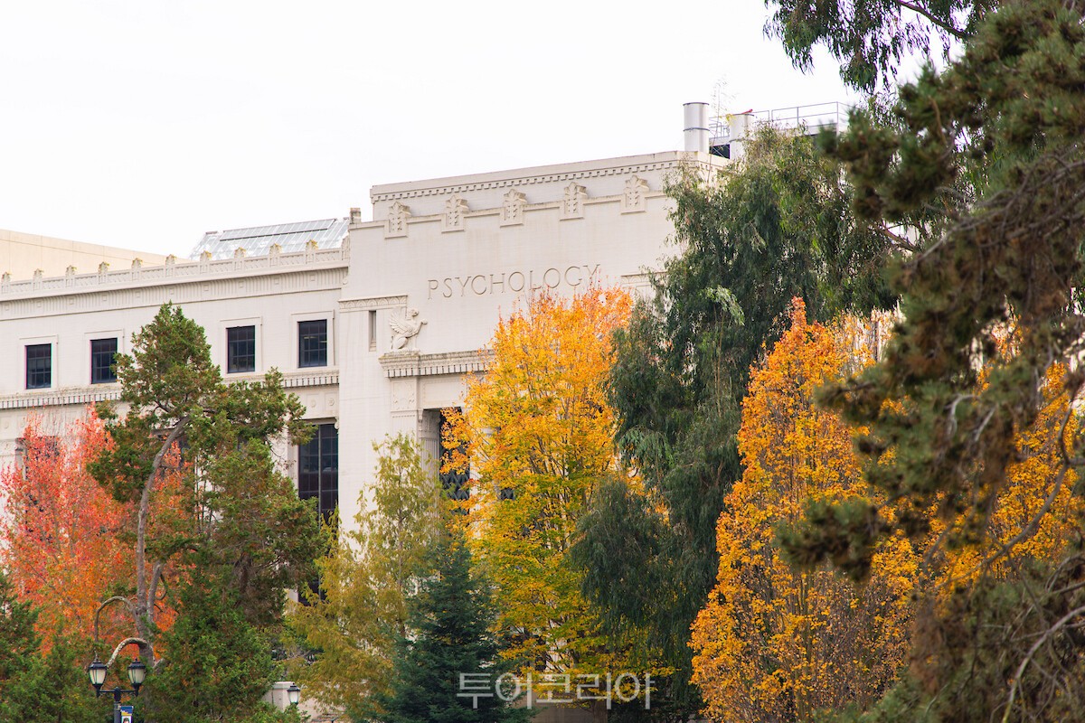 출처_UCLA 2