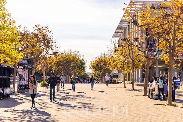출처_UCLA 2
