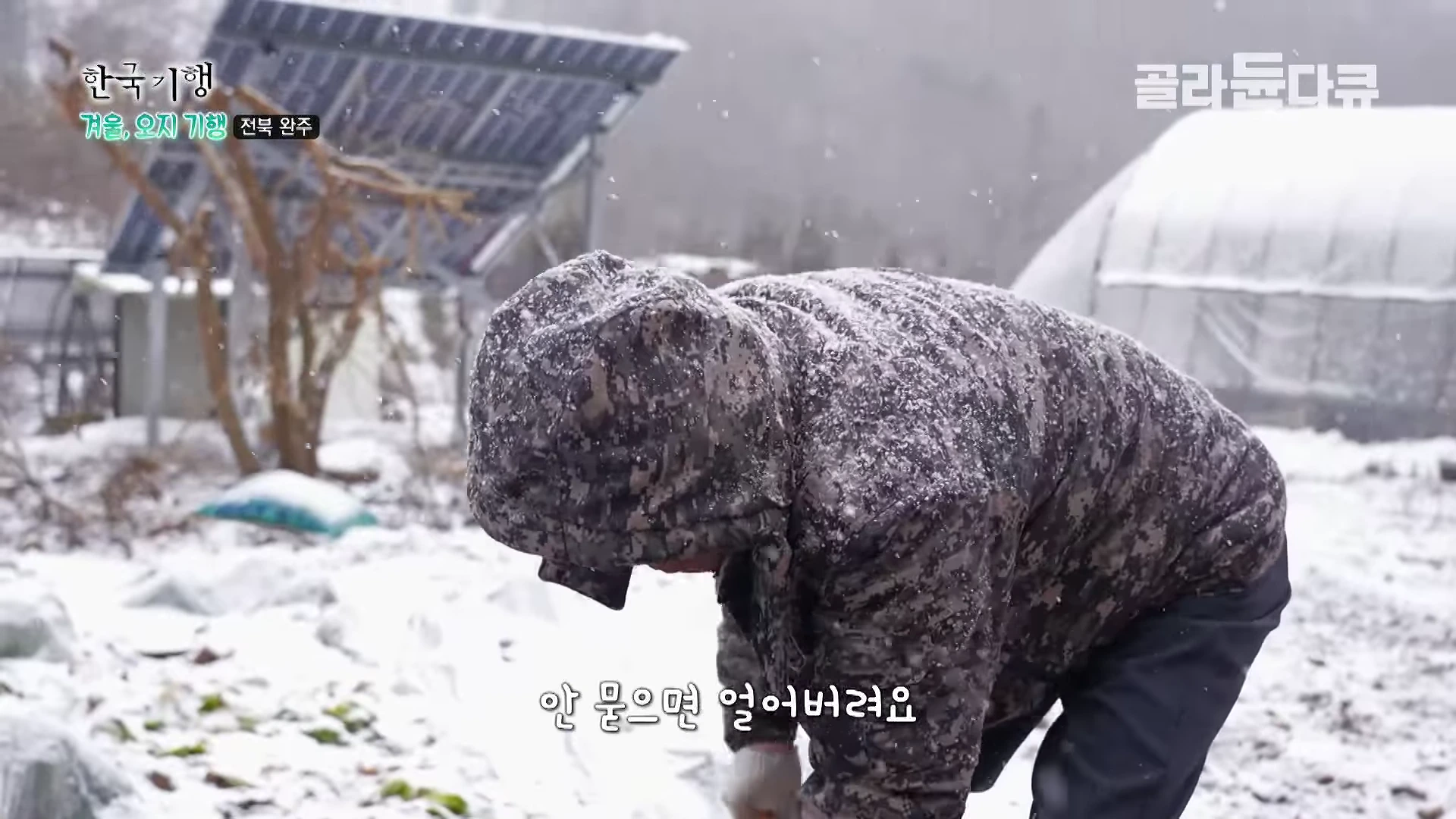 눈이 내리는 겨울 산골에서 군복 무늬 패딩을 입은 중년 남성이 허리를 굽히고 작업을 하고 있으며, 배경에는 태양광 패널과 비닐하우스가 보입니다.