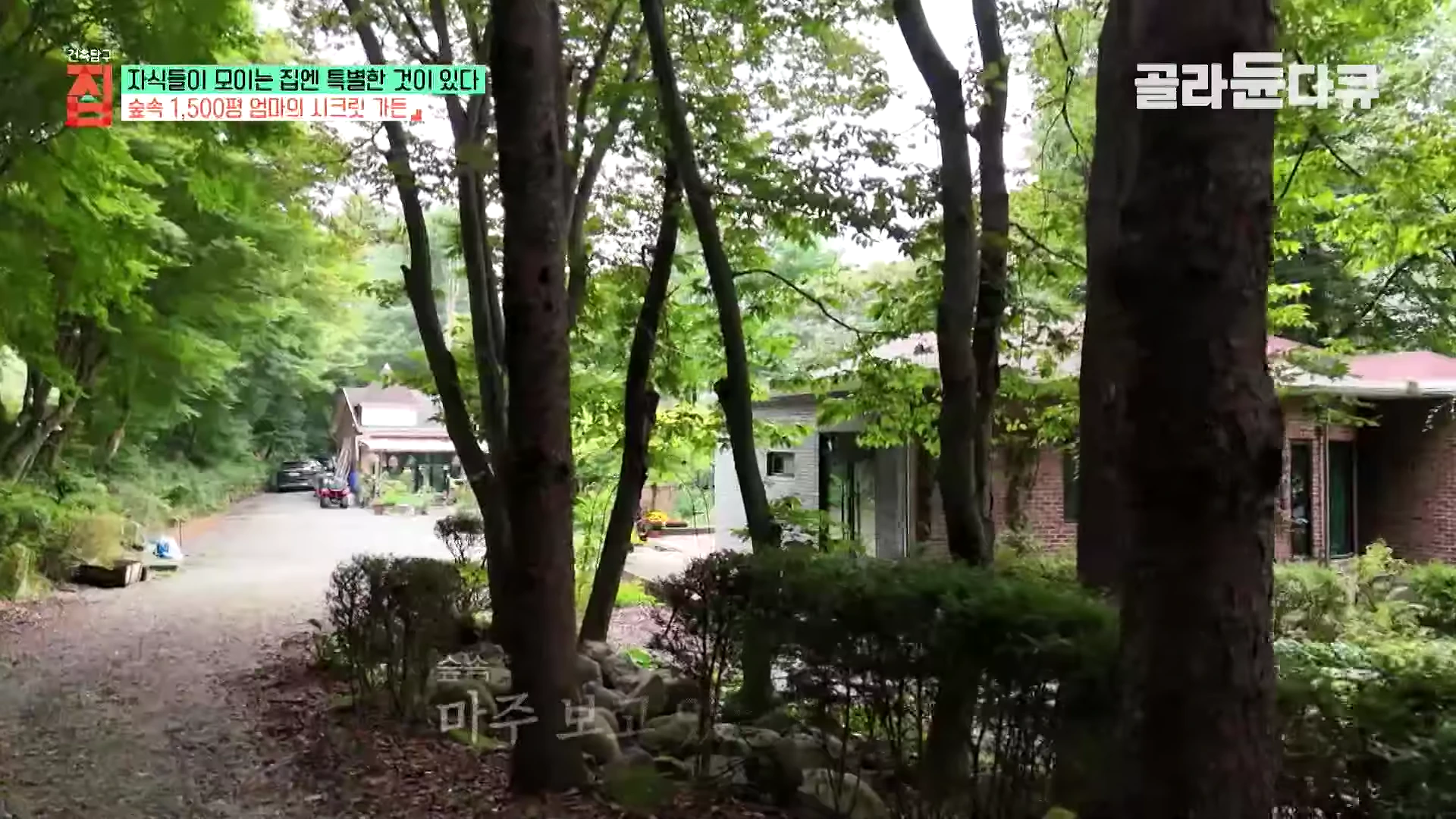 충북 제천의 울창한 숲속, 붉은 벽돌집 두 채가 나무들 사이에 자리 잡고 있으며 정면으로 넓은 마당과 진입로가 보임