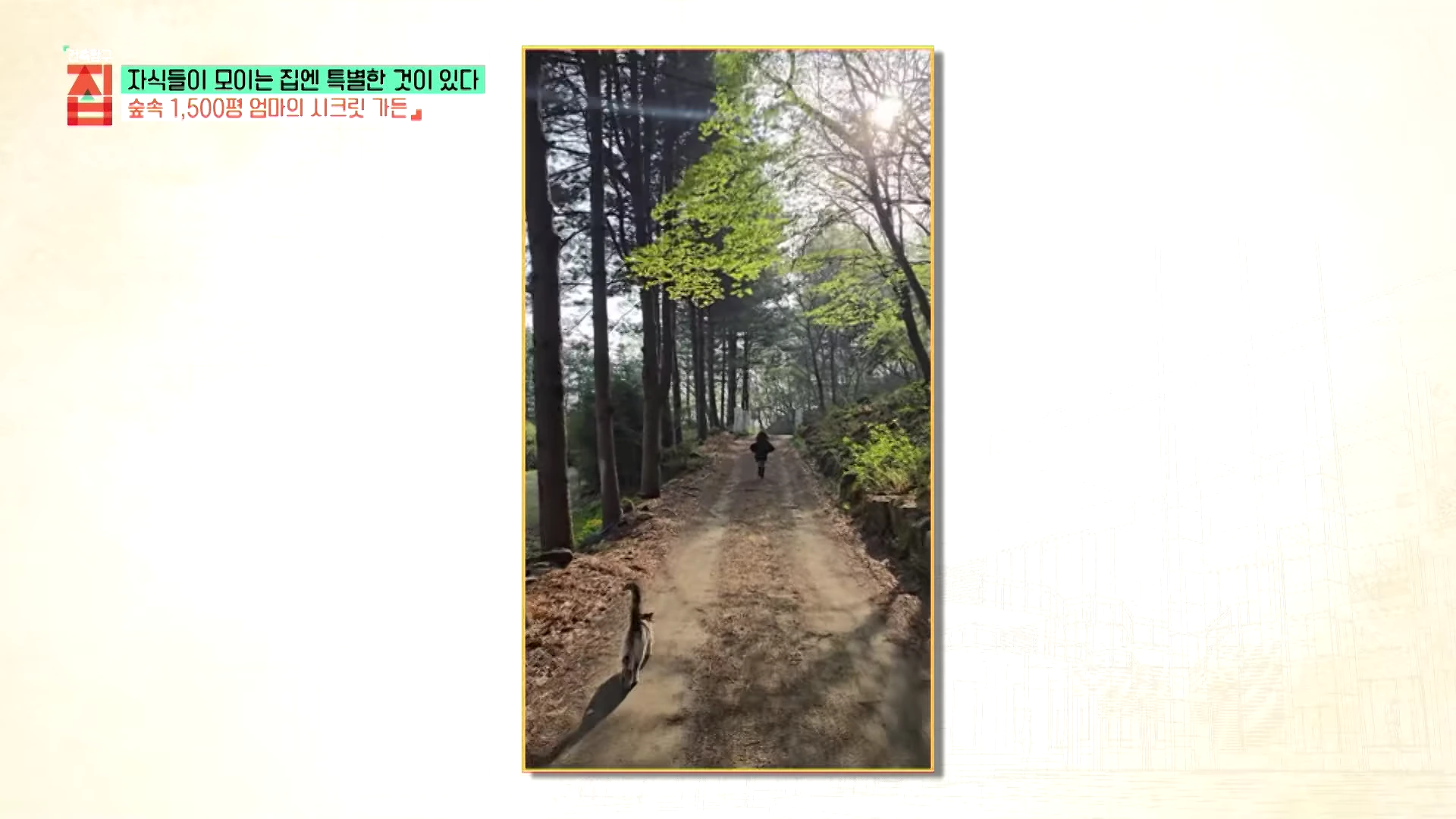 숲속 나무들이 우거진 비포장 도로 위로 한 아이가 앞서가고 그 뒤를 고양이가 따라 걸어가는 풍경