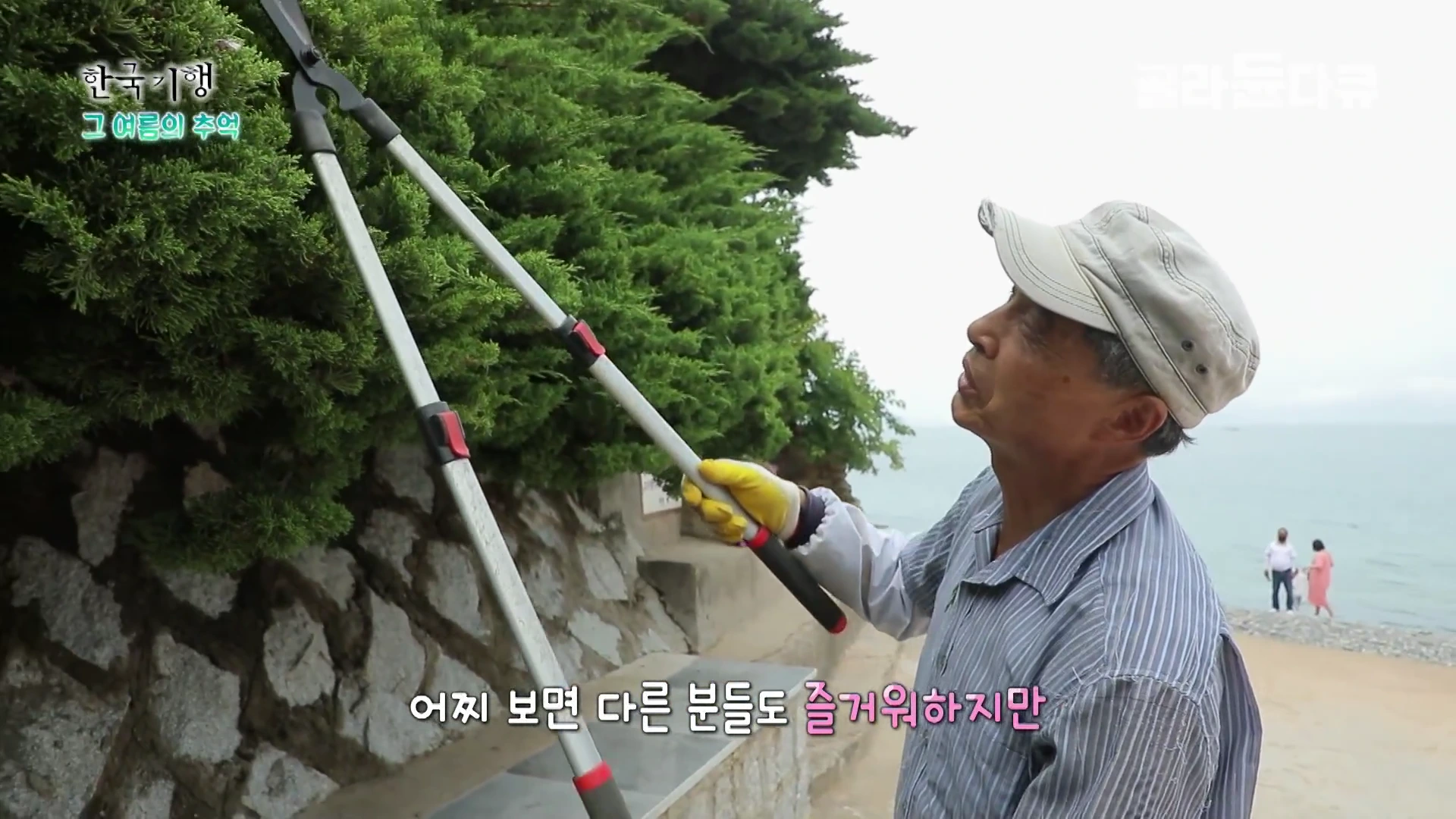 모자를 쓴 중년 남성이 야외에서 긴 가지치기 가위로 나무를 다듬고 있으며, 배경으로 돌담과 바다가 보인다.
