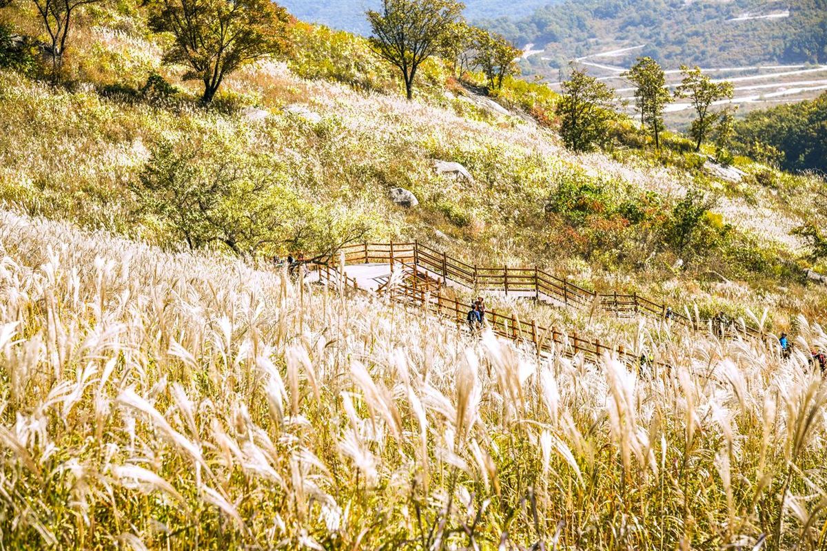 명성산 / 한국관광공사-라이브스튜디오