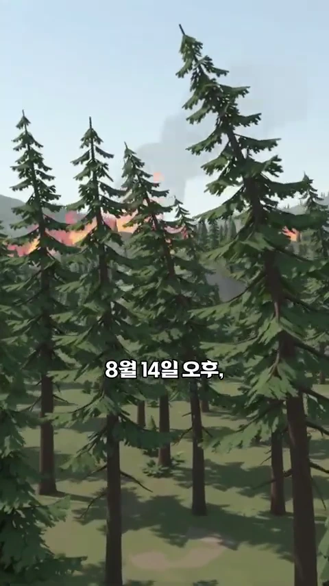 숲 너머로 산불의 불꽃과 연기가 피어오르는 장면이 담긴 3D 그래픽 영상 화면으로, 화면 중앙 하단에 '8월 14일 오후'라는 텍스트가 표시되어 있습니다.