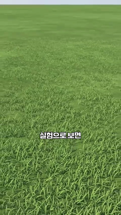 잔디가 깔린 평평한 땅 위에 '실험으로 보면'이라는 자막이 중앙에 적혀 있는 영상 화면입니다.