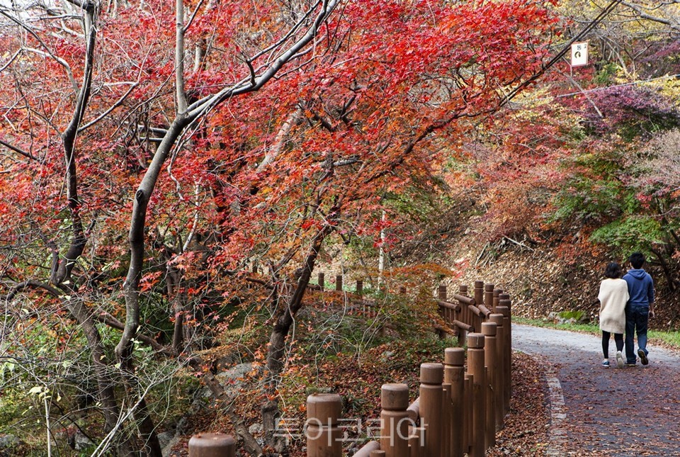단풍 아름다운 고창 문수사 가을 / 사진-고창군