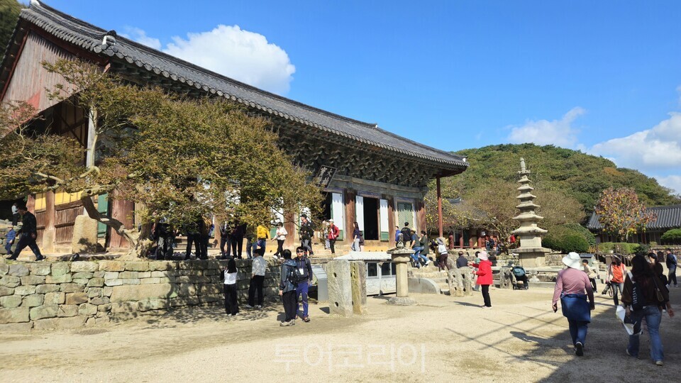 고창 선운사/투어코리아