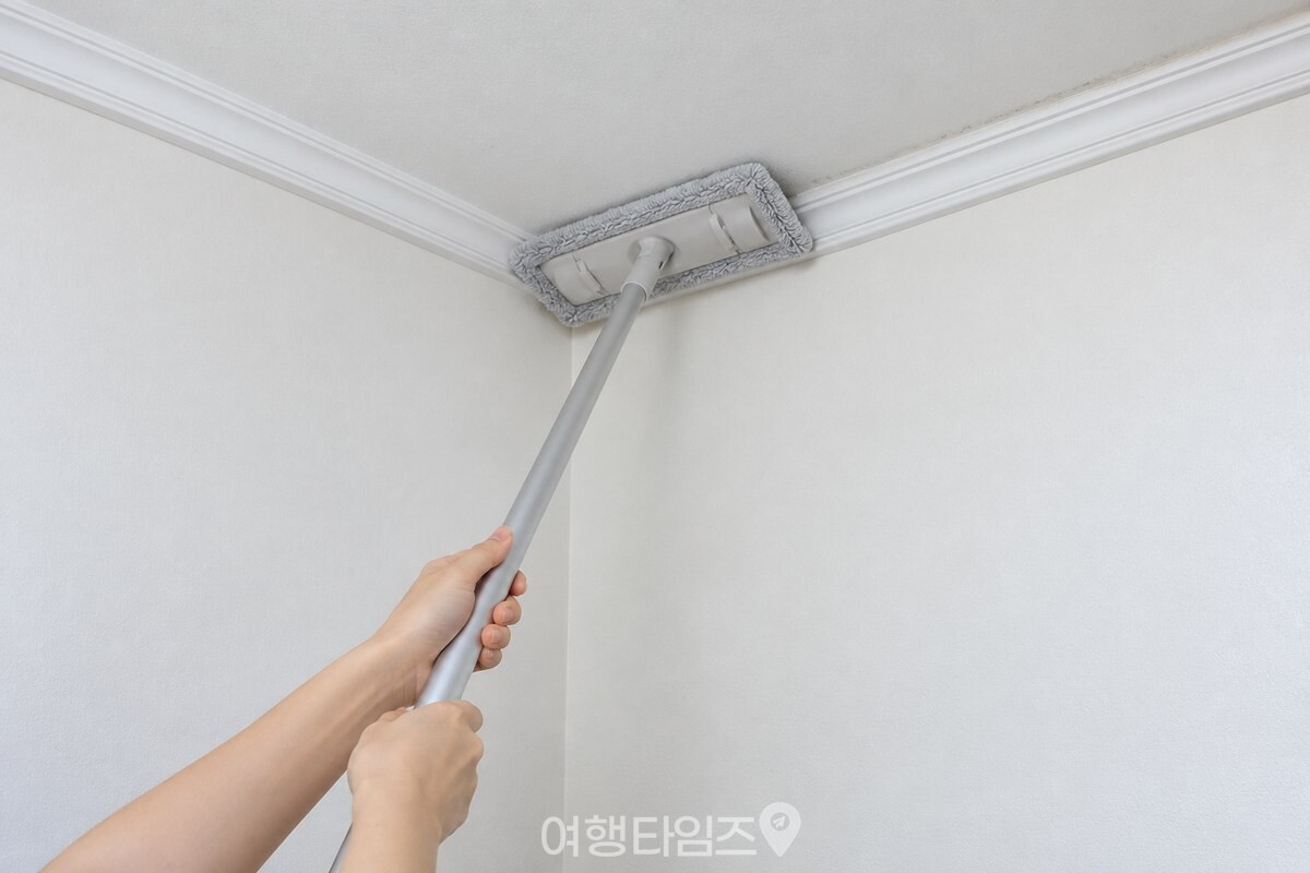 천장 모서리를 마른 극세사 밀대로 훑는 모습 / 기사 이해를 돕기 위한 생성형 이미지