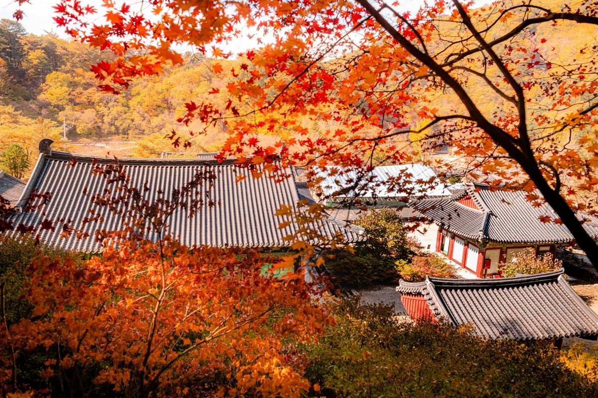 홍천 수타사 / 한국관광공사-강원지사 모먼트스튜디오