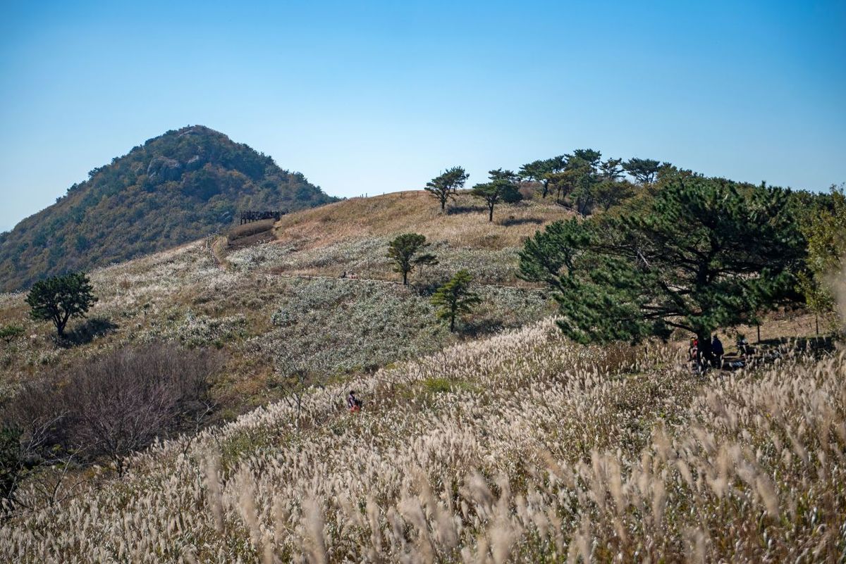 승학산 / 한국관광공사-부산관광공사