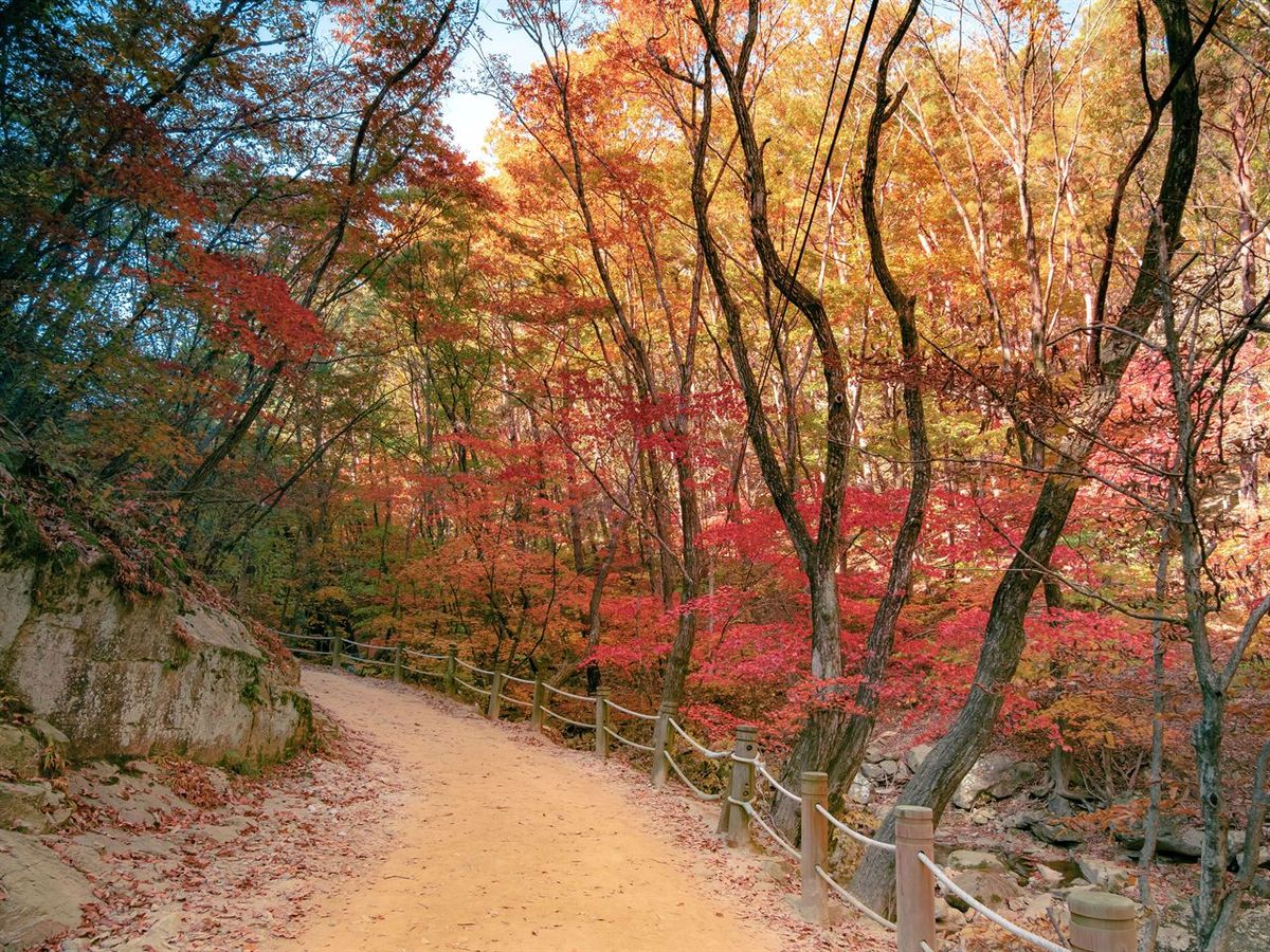 춘천 청평사 / 한국관광공사-강원지사 모먼트스튜디오