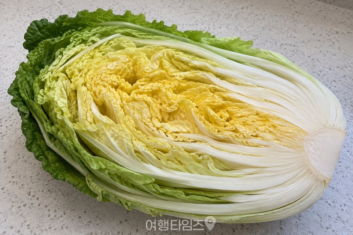 잎 사이에 작은 틈이 보이는 배추 단면 / 기사 이해를 돕기 위한 생성형 이미지