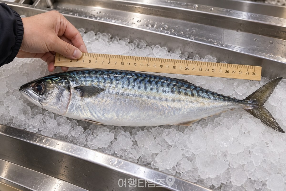 생선 코너에서 고등어 길이를 살피는 손 / 기사 이해를 돕기 위한 생성형 이미지