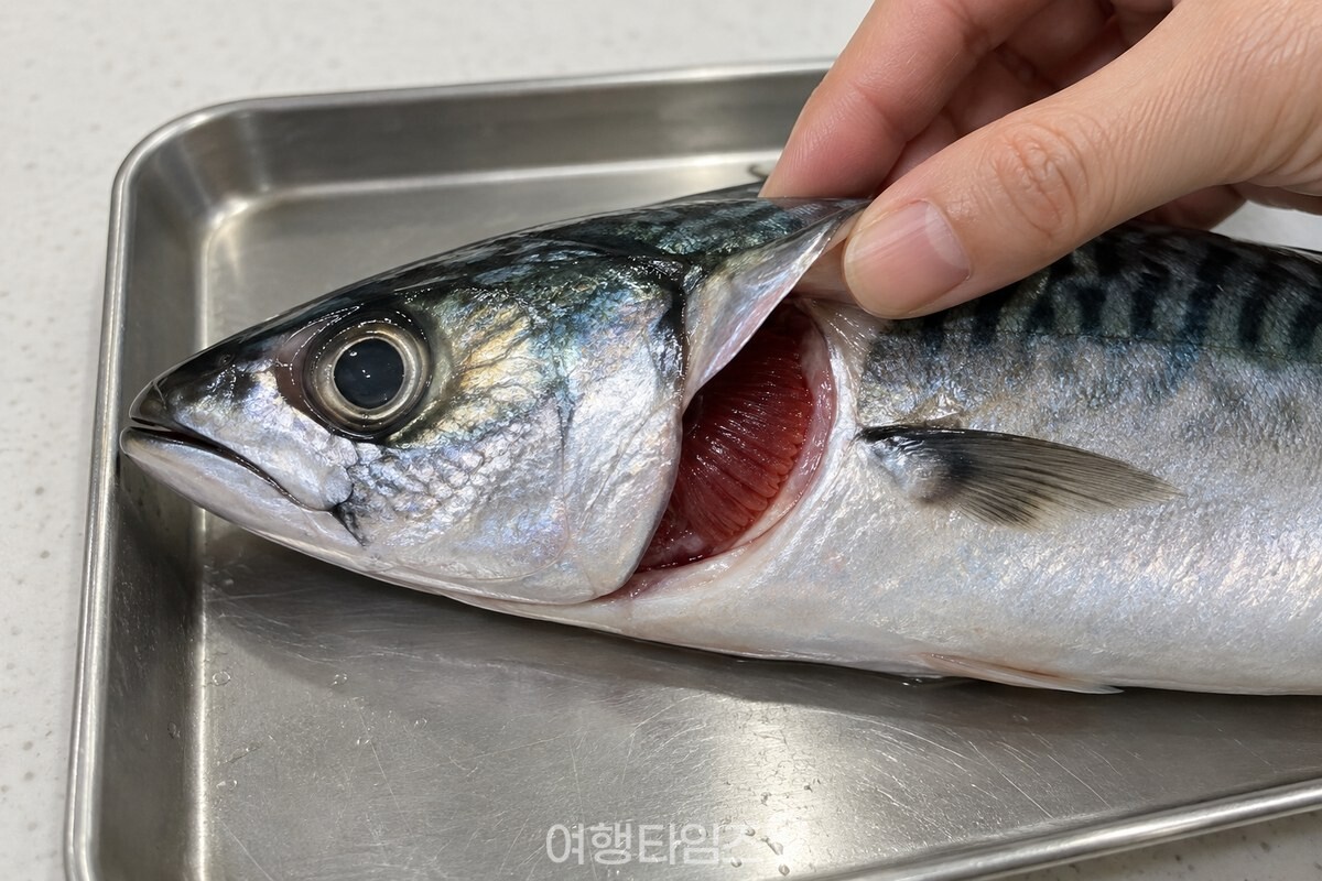 투명한 눈과 선홍색 아가미를 확인하는 고등어 / 기사 이해를 돕기 위한 생성형 이미지
