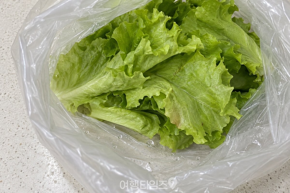 비닐봉지 바닥의 물기와 닿은 상추 잎 / 기사 이해를 돕기 위한 생성형 이미지