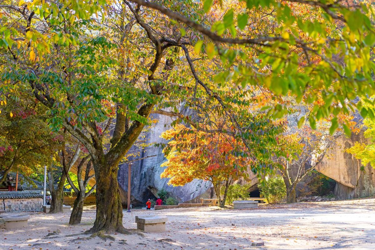 보은 법주사 / 한국관광공사-이범수