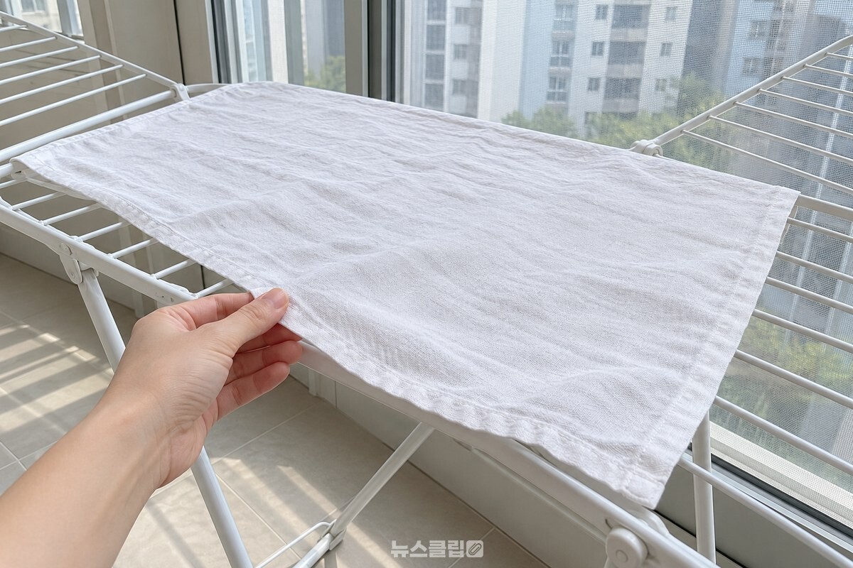 빨아 펼쳐 말린 면 걸레의 상태를 살피는 모습 / 기사 이해를 돕기 위한 생성형 이미지