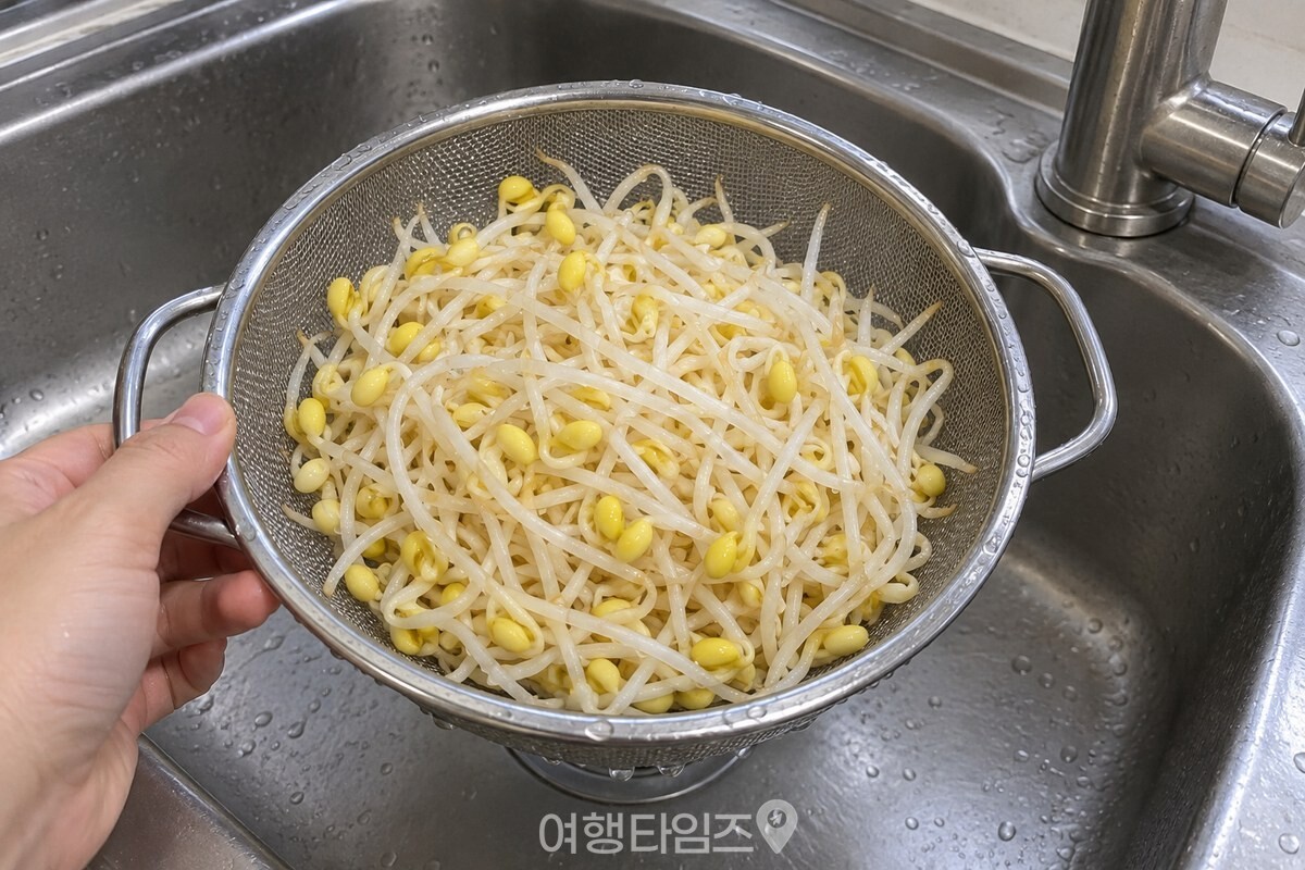 물기를 턴 숙주를 체에 담아 둔 모습 / 기사 이해를 돕기 위한 생성형 이미지