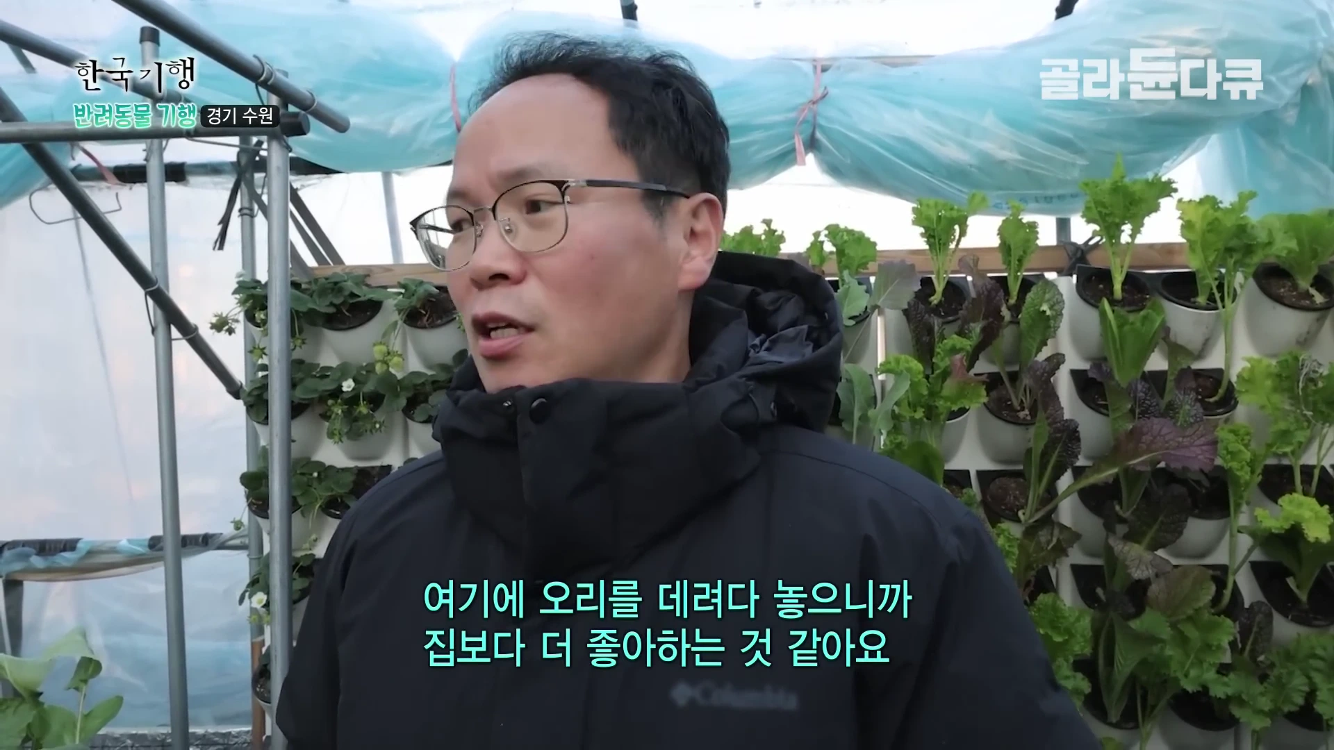 안경을 쓴 남성이 비닐하우스 안에서 인터뷰하는 모습이며, 뒤쪽 벽면에는 수직 텃밭에 심어진 채소들이 보이고 화면 하단에 자막이 떠 있습니다.