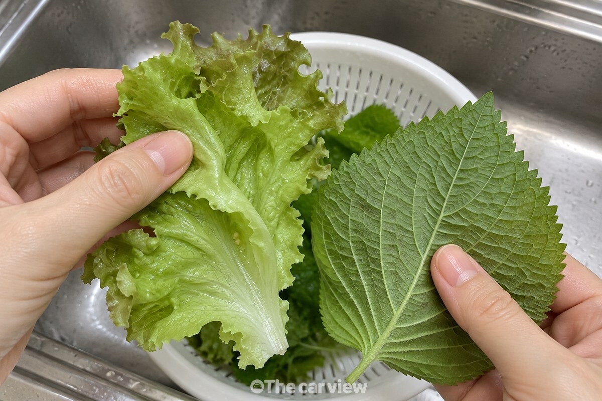 상추 주름과 깻잎 뒷면을 가까이에서 보여 주는 모습 / 기사 이해를 돕기 위한 생성형 이미지