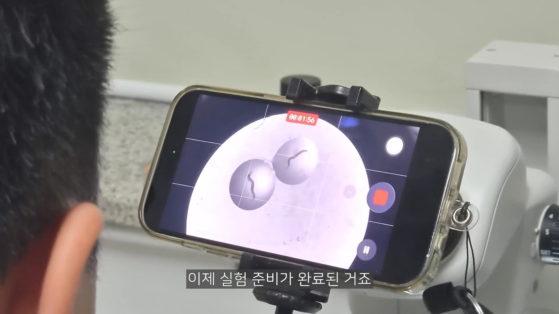 현미경 접안렌즈에 스마트폰을 고정하여 촬영 중인 화면으로, 두 개의 원형 시야 내에 가느다란 선충이 관찰되고 있다.