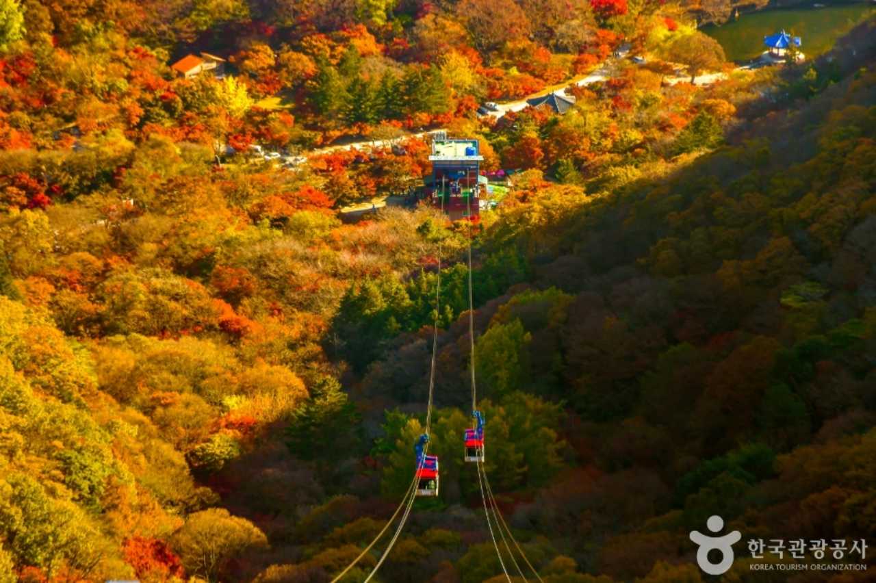 정말 멋진 내장산 단풍 / 사진=한국관광공사